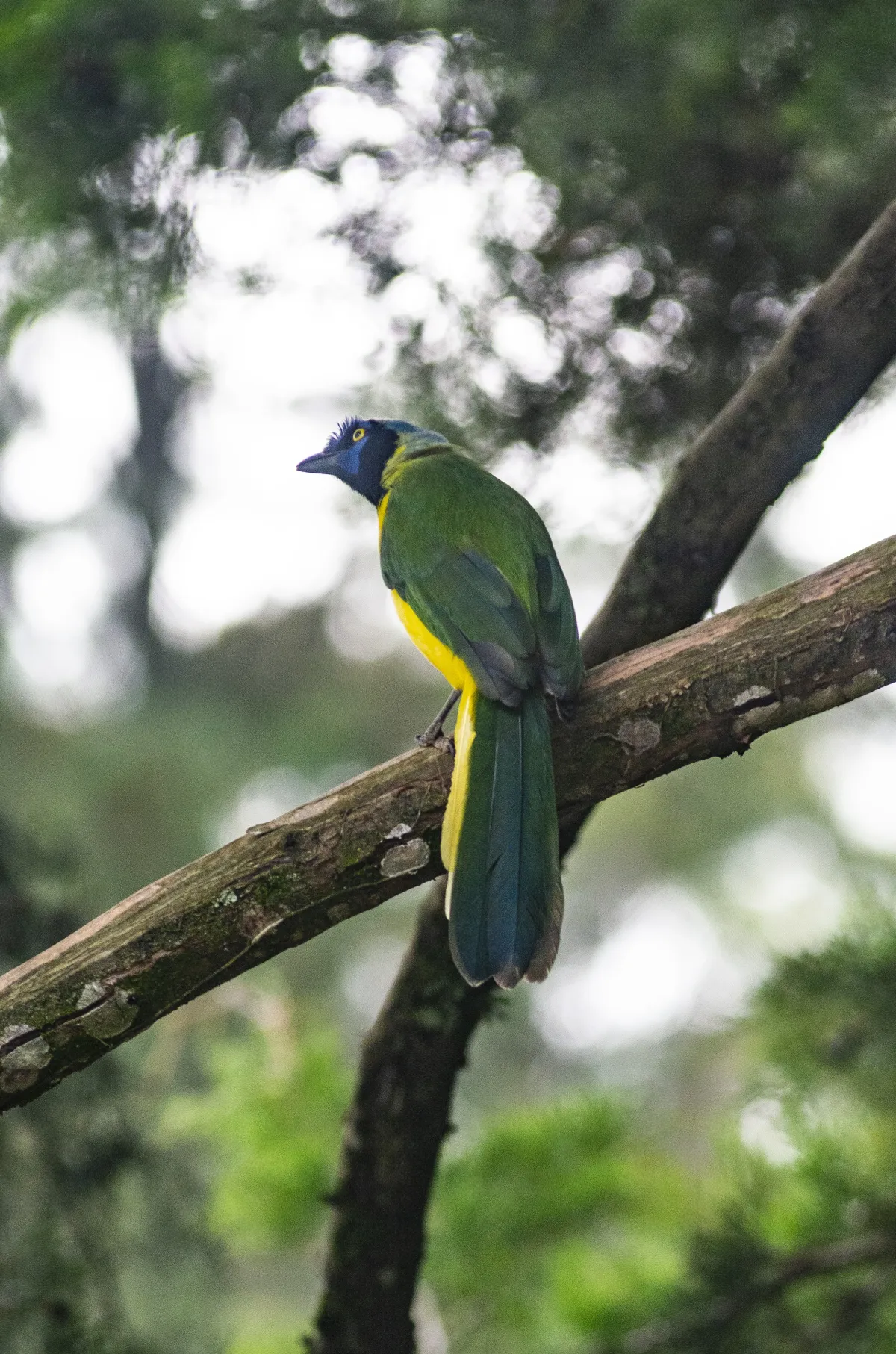 Fotografía de Turismo en Medellín