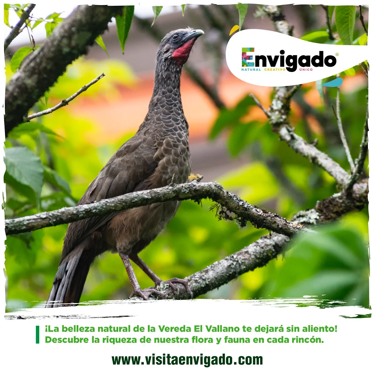Fotografía de Turismo en Antioquia