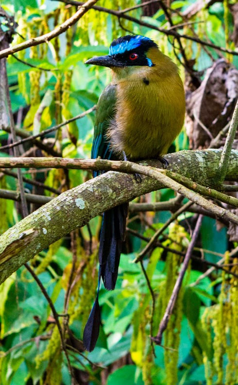 Fotografía de Turismo en Antioquia