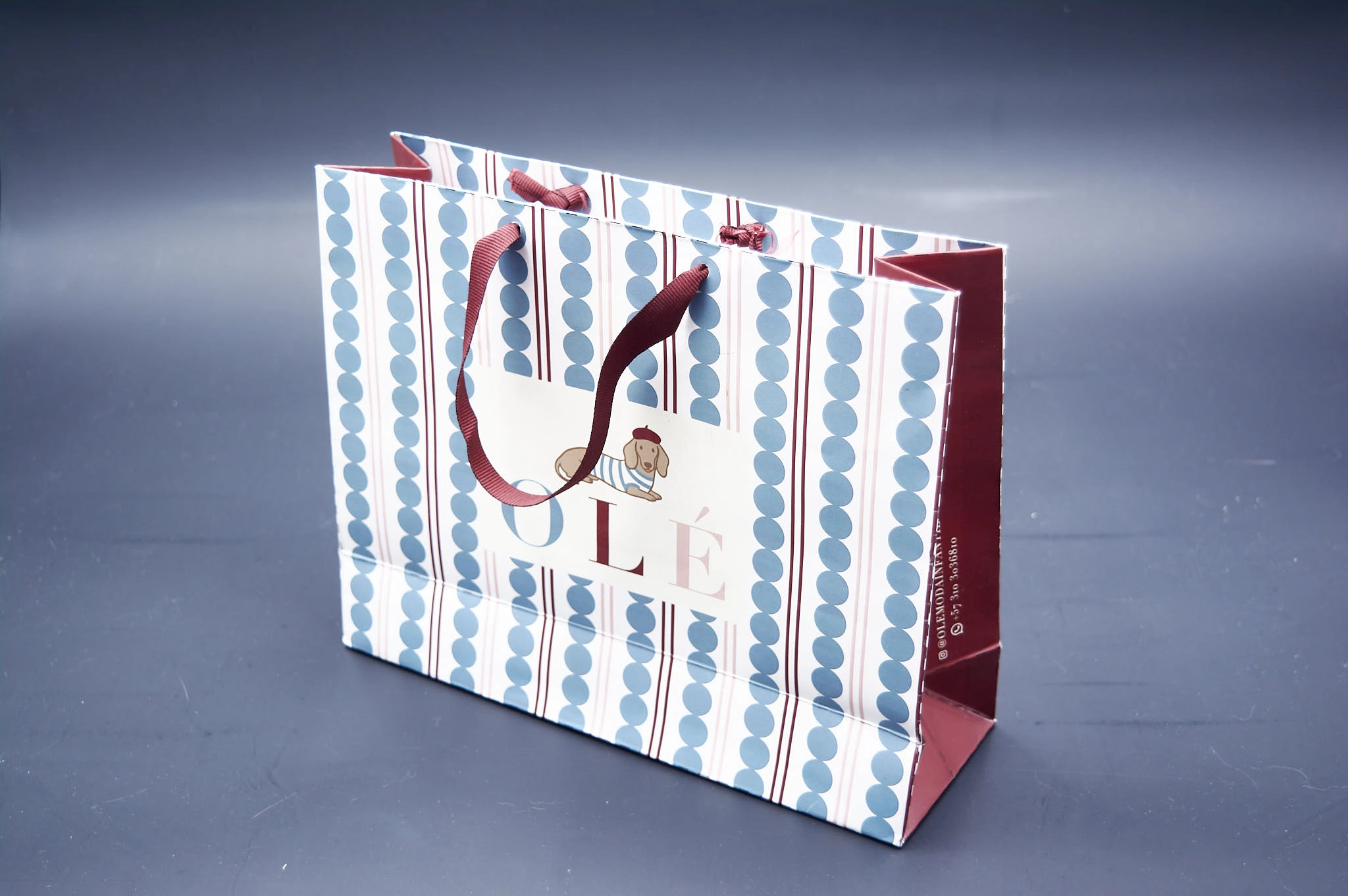 Bolsa ful color laminada