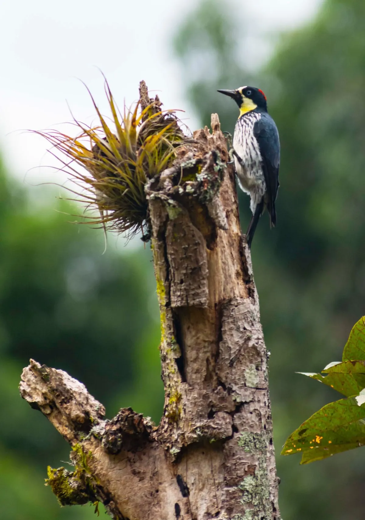 Fotografía de Turismo en Antioquia