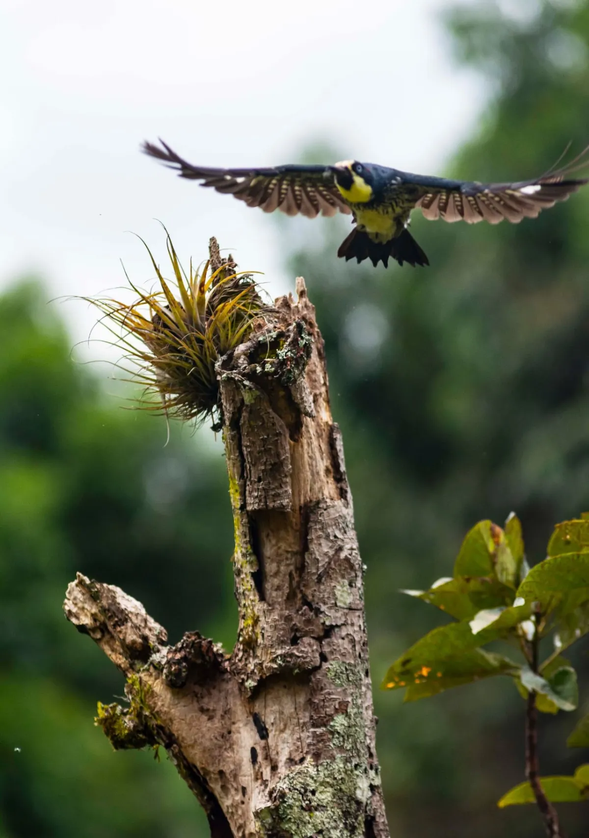 Fotografía de Turismo en Antioquia